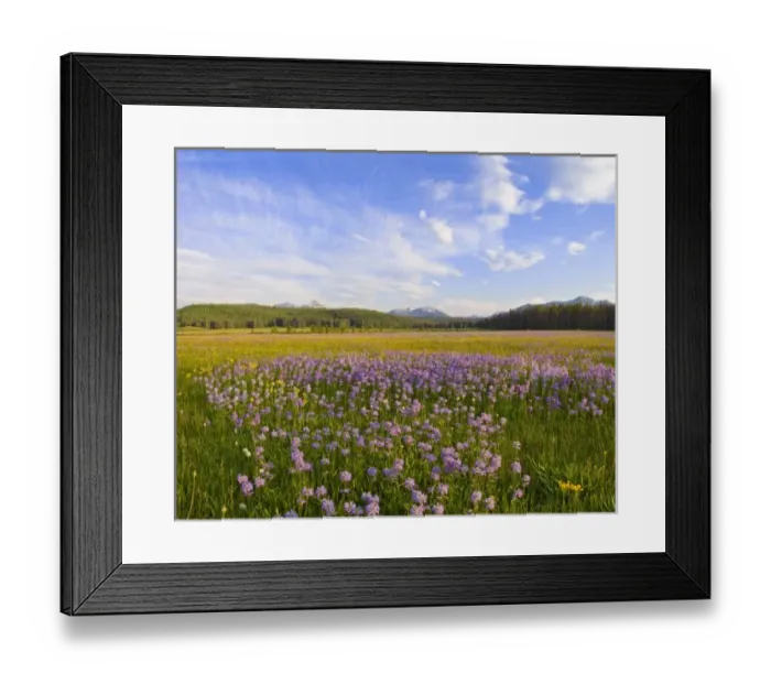 Framed Print : USA, North America, Idaho Framed Print : USA, North America, Idaho