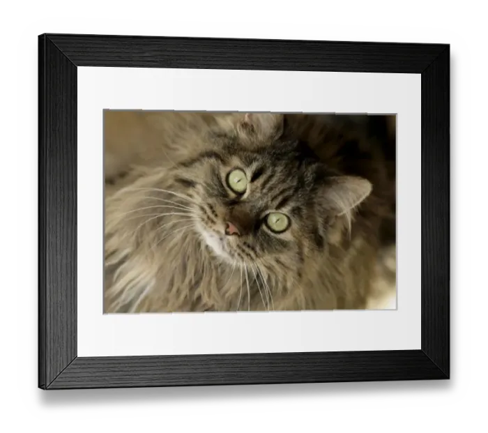 Framed Print : USA, North America, New Mexico Framed Print : USA, North America, New Mexico