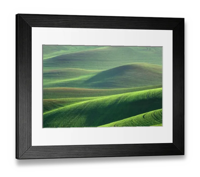 Framed Print : Wheat springs up in the hills of the Palouse Country near Kendrick, Idaho Framed Print : Wheat springs up in the hills of the Palouse Country near Kendrick, Idaho