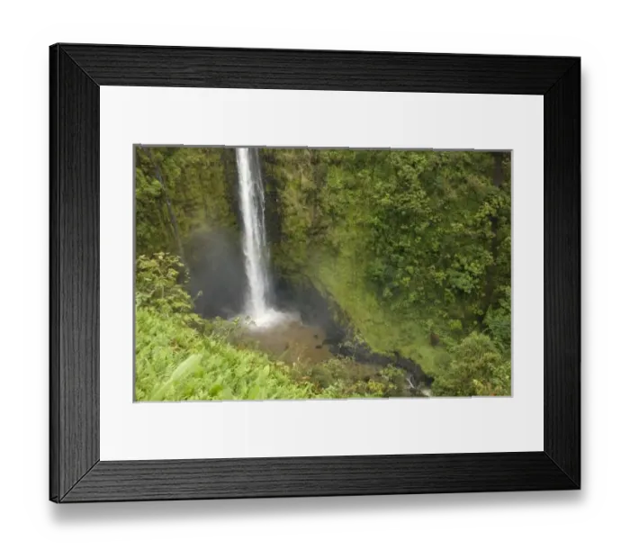 Framed Print : Akaka Falls, Hamakua Framed Print : Akaka Falls, Hamakua