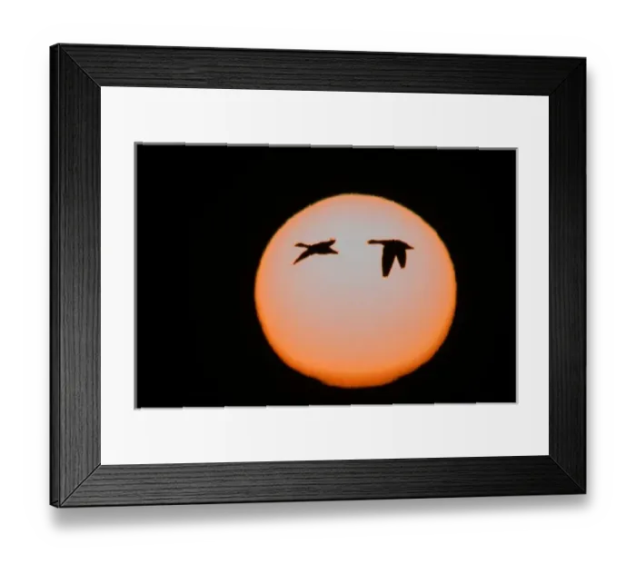 Framed Print : USA, New Mexico