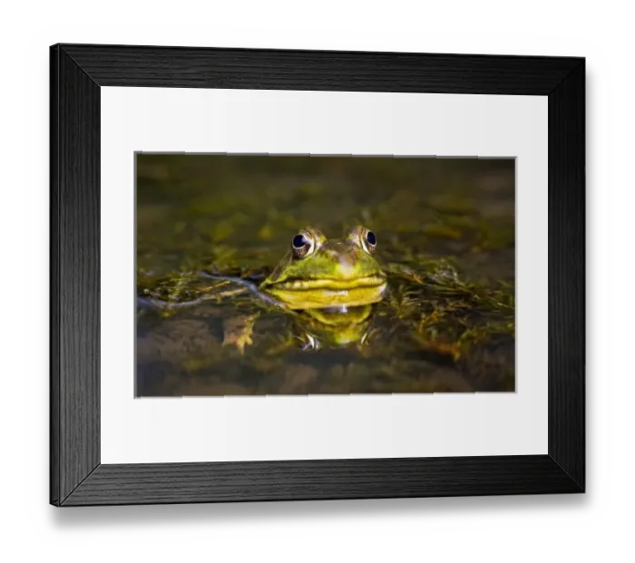Framed Print : USA, North America, New Jersey Framed Print : USA, North America, New Jersey