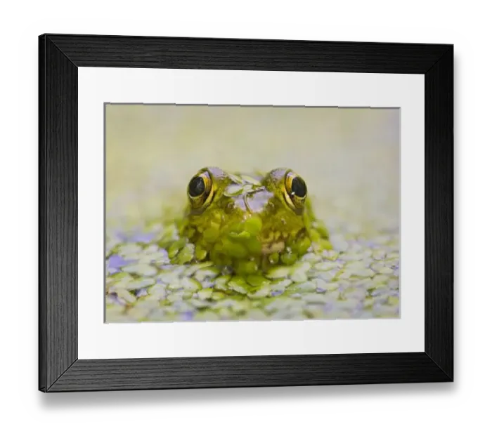Framed Print : USA, New Jersey Framed Print : USA, New Jersey