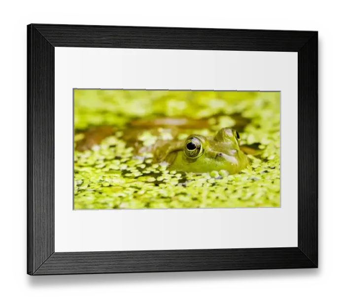Framed Print : USA, North America, New Jersey Framed Print : USA, North America, New Jersey