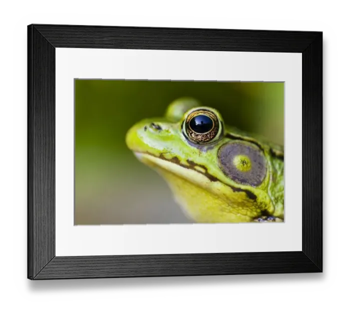 Framed Print : USA, North America, New Jersey Framed Print : USA, North America, New Jersey
