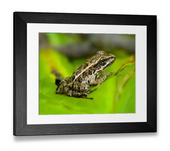 Framed Print : USA, New Jersey