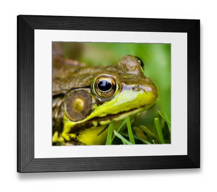 Framed Print : USA, North America, New Jersey