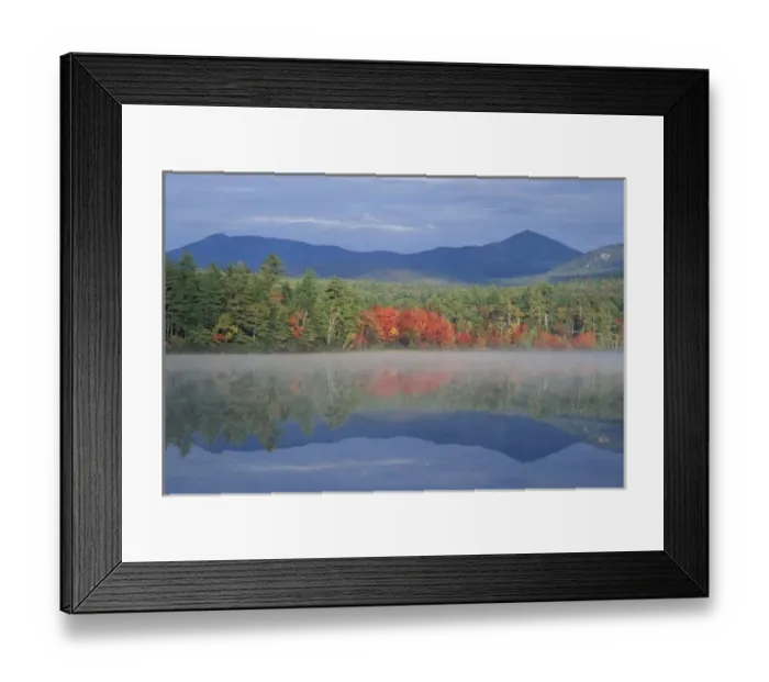 Framed Print : North America, US, NH, Fall reflections in Chocorua Lake in New Hampshires White Mountains Framed Print : North America, US, NH, Fall reflections in Chocorua Lake in New Hampshires White Mountains