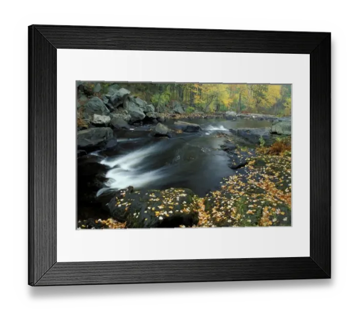 Framed Print : North America Framed Print : North America