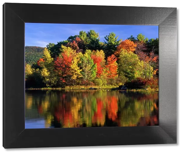 USA, New Hampshire, Moultonborough. Trees in autumn color reflecting in Lake Kanasatka