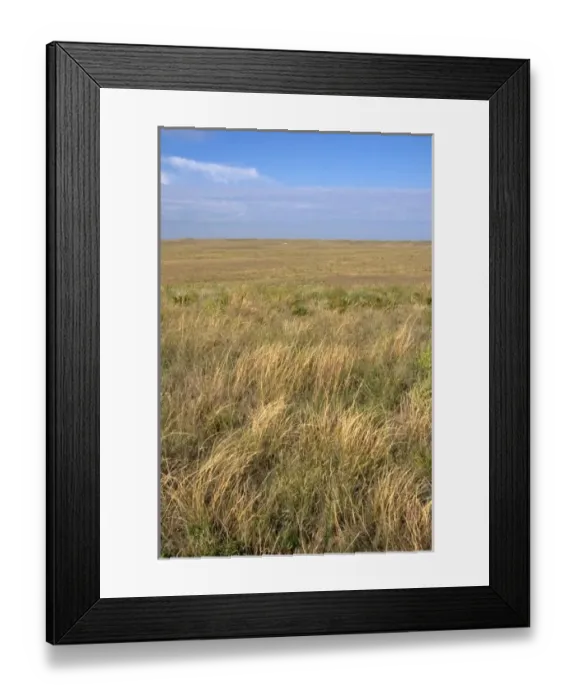 Framed Print : Grassland prairie Framed Print : Grassland prairie
