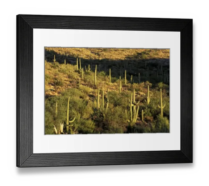 Framed Print : USA, North America, Arizona Framed Print : USA, North America, Arizona