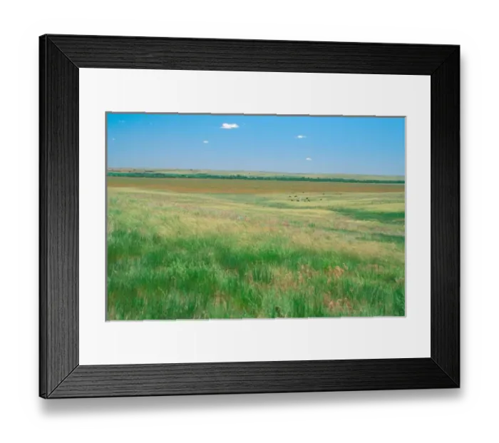 Framed Print : NA, USA, NE. Grasslands Framed Print : NA, USA, NE. Grasslands