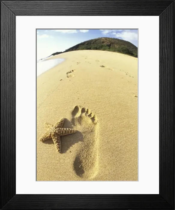 Framed Print : USA, Hawaii, Maui Framed Print : USA, Hawaii, Maui