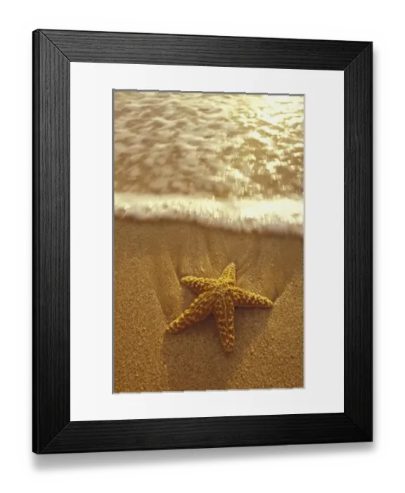 Framed Print : USA, Hawaii, Maui, Maui, Kihei, Starfish and sand, reflected sunset Framed Print : USA, Hawaii, Maui, Maui, Kihei, Starfish and sand, reflected sunset