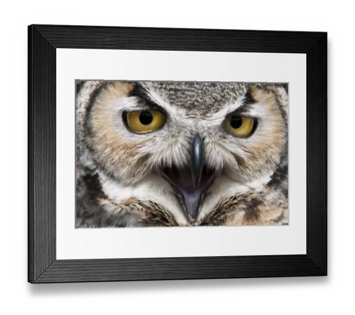Framed Print : United States Framed Print : United States