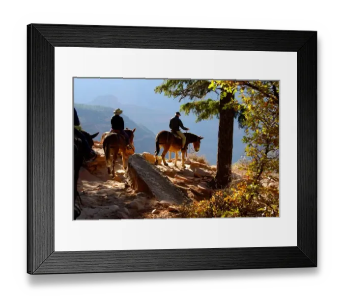Framed Print : North America, USA, Arizona, Grand Canyon National Park, North Rim. North Kaibab Trail Framed Print : North America, USA, Arizona, Grand Canyon National Park, North Rim. North Kaibab Trail