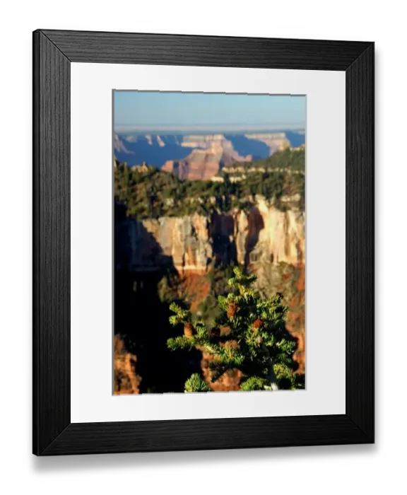 Framed Print : North America Framed Print : North America