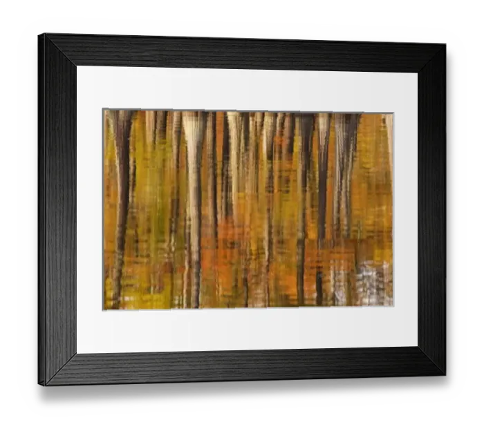 Framed Print : USA, Georgia, George Smith State Park, Reflections of cypress trees in the fall Framed Print : USA, Georgia, George Smith State Park, Reflections of cypress trees in the fall