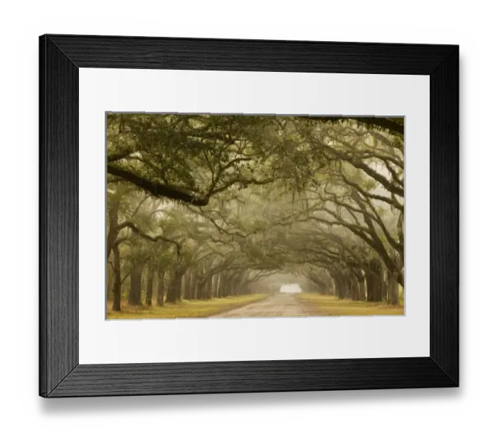 Framed Print : USA, North America, Georgia Framed Print : USA, North America, Georgia