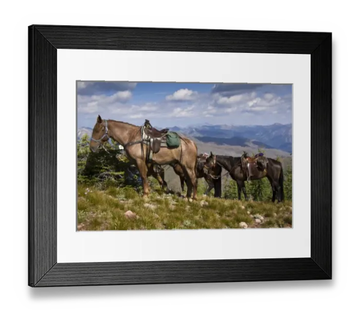 Framed Print : Unknown. North America, USA, Montana, Rocky Mountains