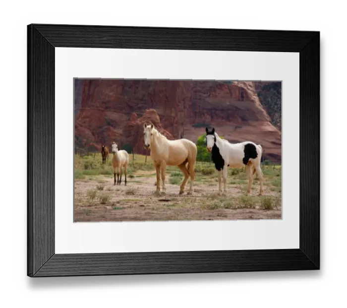Framed Print : Arizona, Navajo Framed Print : Arizona, Navajo