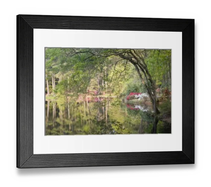 Framed Print : USA, North America, Georgia Framed Print : USA, North America, Georgia