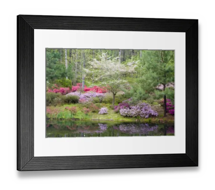 Framed Print : USA, North America, Georgia