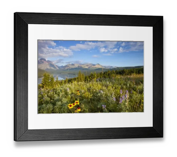 Framed Print : Prairie wildflowers Framed Print : Prairie wildflowers