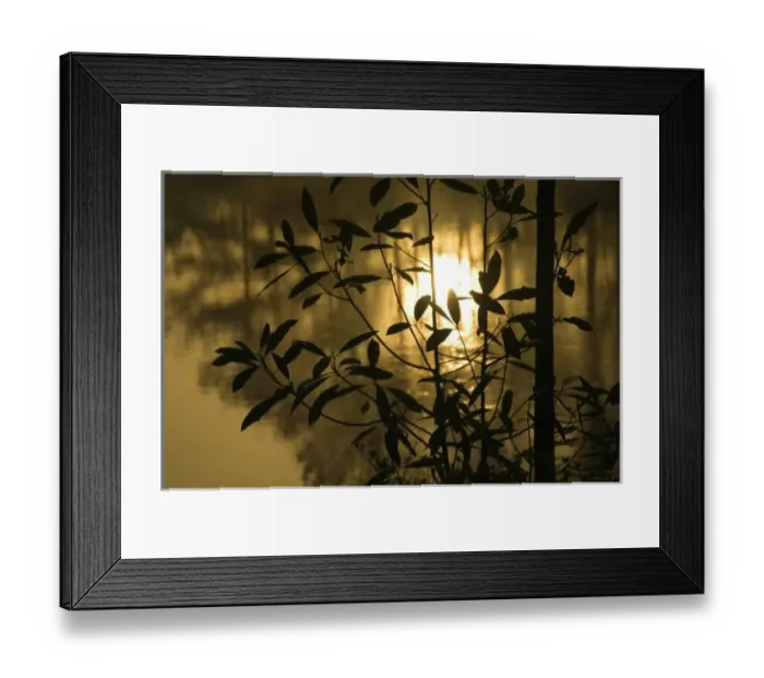 Framed Print : USA, Georgia, Callaway Gardens, Sunrise reflected in pond between branches. Credit as Framed Print : USA, Georgia, Callaway Gardens, Sunrise reflected in pond between branches. Credit as