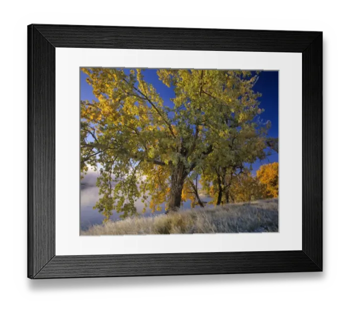 Framed Print : USA, North America, Montana Framed Print : USA, North America, Montana
