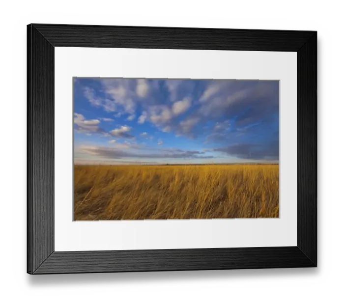 Framed Print : Wheatgrass and dramatic skies at Freezeout Lake WMA, Fairfield, Montana, USA Framed Print : Wheatgrass and dramatic skies at Freezeout Lake WMA, Fairfield, Montana, USA