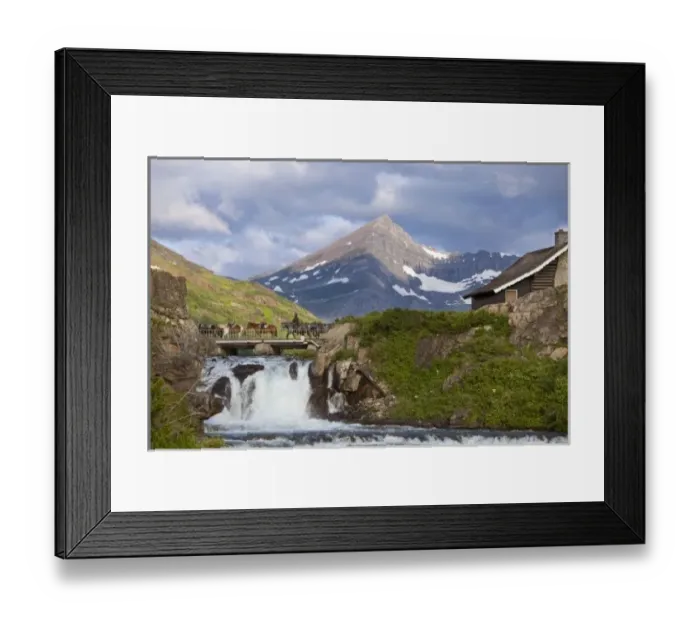Framed Print : Packers lead string of horses over bridge above Swiftcurrent Falls in the Many Glacier Framed Print : Packers lead string of horses over bridge above Swiftcurrent Falls in the Many Glacier