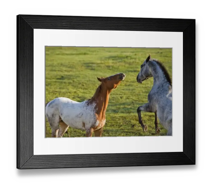 Framed Print : USA, North America, Montana