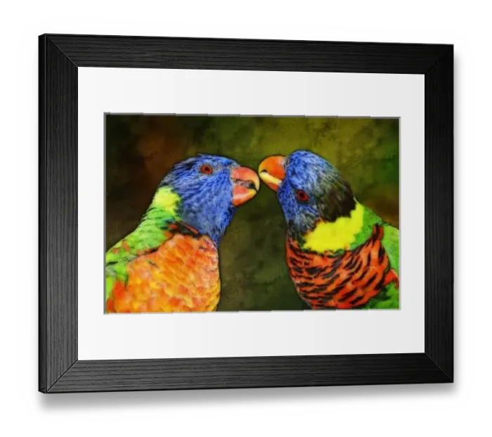 Framed Print : USA, North America, Florida