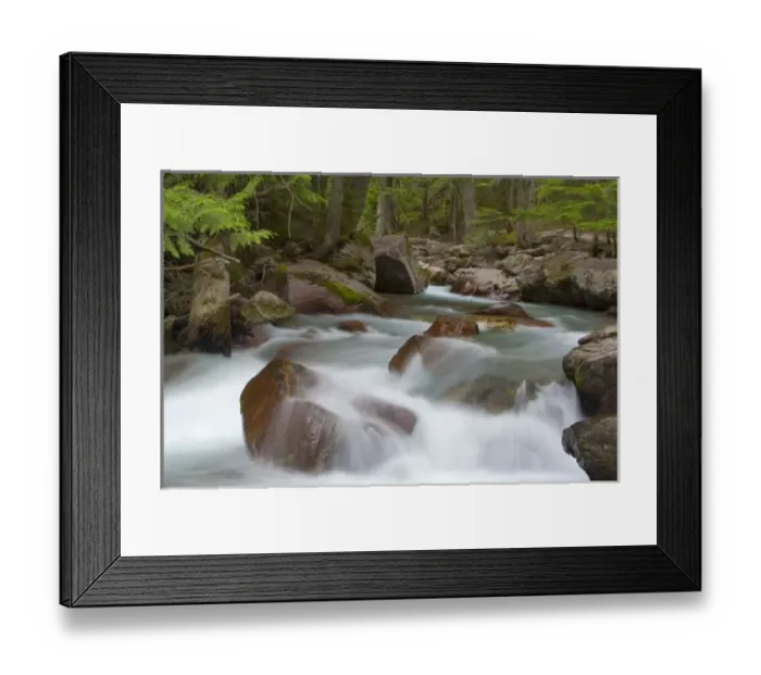 Framed Print : Avalanche Creek in Glacier National Park in Montana