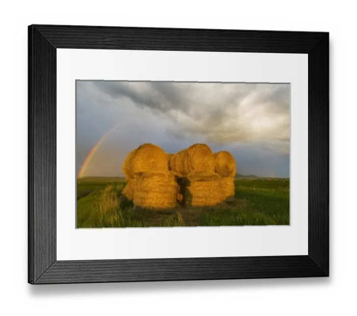 Framed Print : Briiliant rainbow over hay bales along the Judith Mountain Range near Lewistown Montana