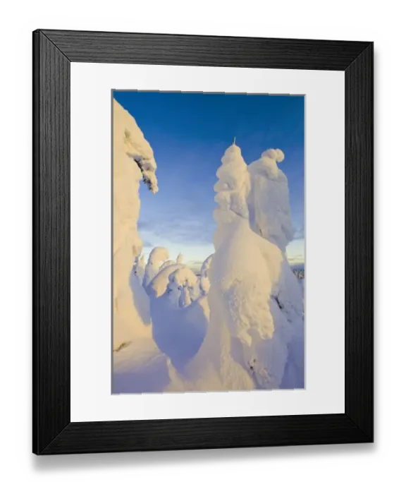 Framed Print : Snowghosts at sunset at Whitefish Mountain Resort in Montana Framed Print : Snowghosts at sunset at Whitefish Mountain Resort in Montana