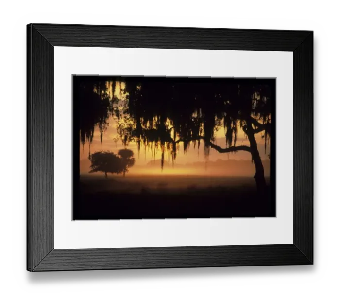 Framed Print : USA, North America, Florida Framed Print : USA, North America, Florida