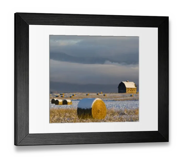 Framed Print : Rustic barn and hay bales after a fresh snow in the Mission Valley of Montana Framed Print : Rustic barn and hay bales after a fresh snow in the Mission Valley of Montana