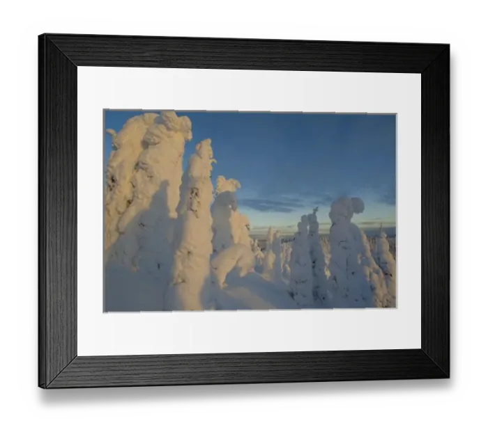 Framed Print : Snowghosts at sunset at Whitefish Mountain Resort in Montana Framed Print : Snowghosts at sunset at Whitefish Mountain Resort in Montana