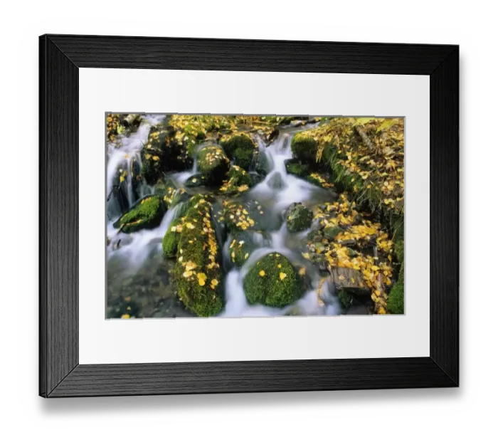 Framed Print : USA, North America, Montana Framed Print : USA, North America, Montana