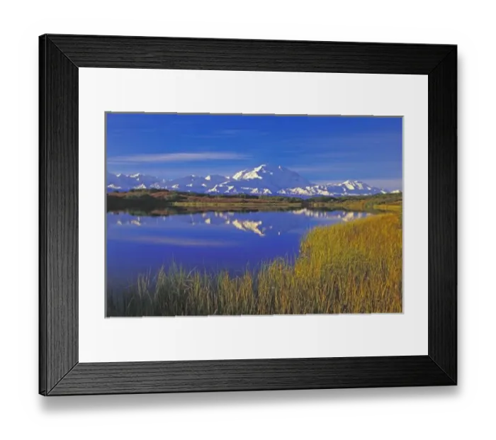Framed Print : North America, USA, Alaska, Denali NP, Reflection Pond, Mt. McKinley. Autumn Framed Print : North America, USA, Alaska, Denali NP, Reflection Pond, Mt. McKinley. Autumn