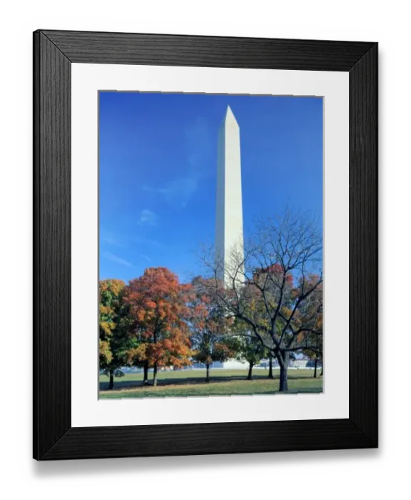 Framed Print : WASHINGTON, D. C. USA. Washington Monument rises above maple trees in autumn. National Mall Framed Print : WASHINGTON, D. C. USA. Washington Monument rises above maple trees in autumn. National Mall