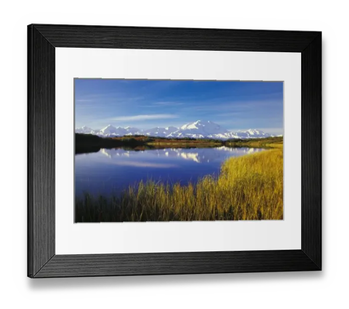 Framed Print : NA, USA, Alaska, Denali NP Mt. McKinley in Reflection Pond, autumn colors Framed Print : NA, USA, Alaska, Denali NP Mt. McKinley in Reflection Pond, autumn colors