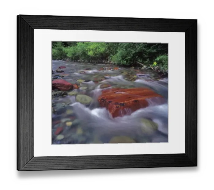 Framed Print : Tuchuck Creek in the Flathead National Forest of Montana Framed Print : Tuchuck Creek in the Flathead National Forest of Montana