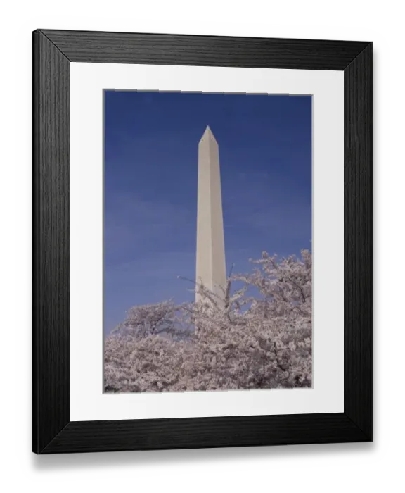 Framed Print : North America, USA, Washington D. C Washington Monument Framed Print : North America, USA, Washington D. C Washington Monument