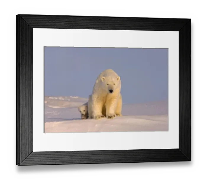 Framed Print : USA, North America, Alaska