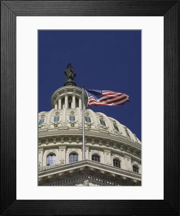 Framed Print : The United States Capitol, Washington, DC