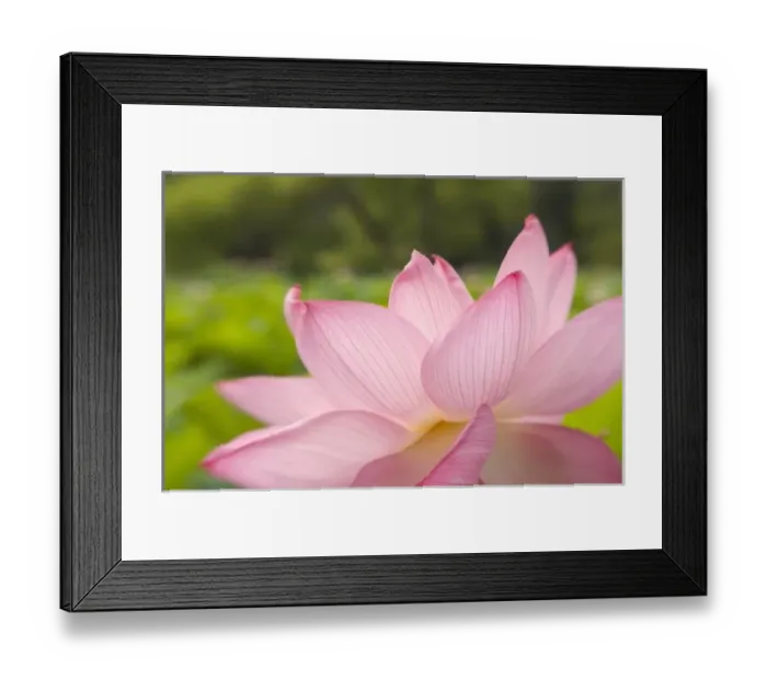 Framed Print : USA, DC, Washington
